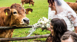 Hochzeitsfotografie - derferder.at