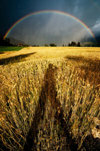 Regenbogen - derferder.at