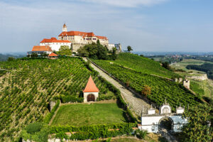 Burgwein Riegersburg - derferder.at